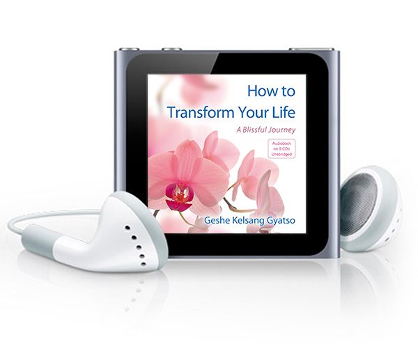 How to Transform Your Life | Beginners Buddhist Meditation Audio Book